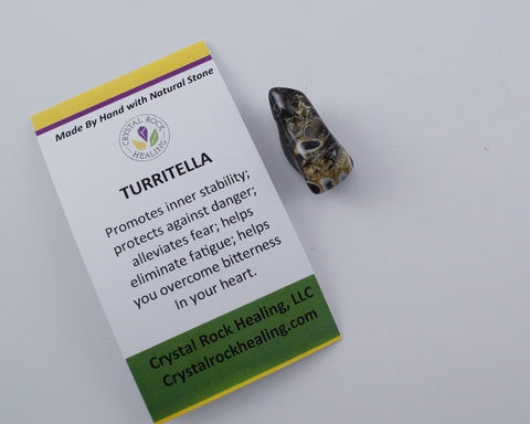 Agate Turritella Pocket Stone