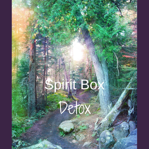 Spirit Box™ - Detox