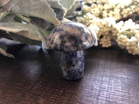 Sodalite Mushroom #1