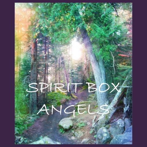 Spirit Box™ - Angels