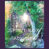 Spirit Box™ - Intuition