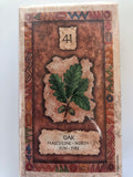 Shaman Wisdom Cards