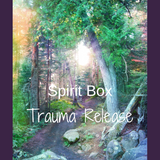 Spirit Box™ - Trauma Release